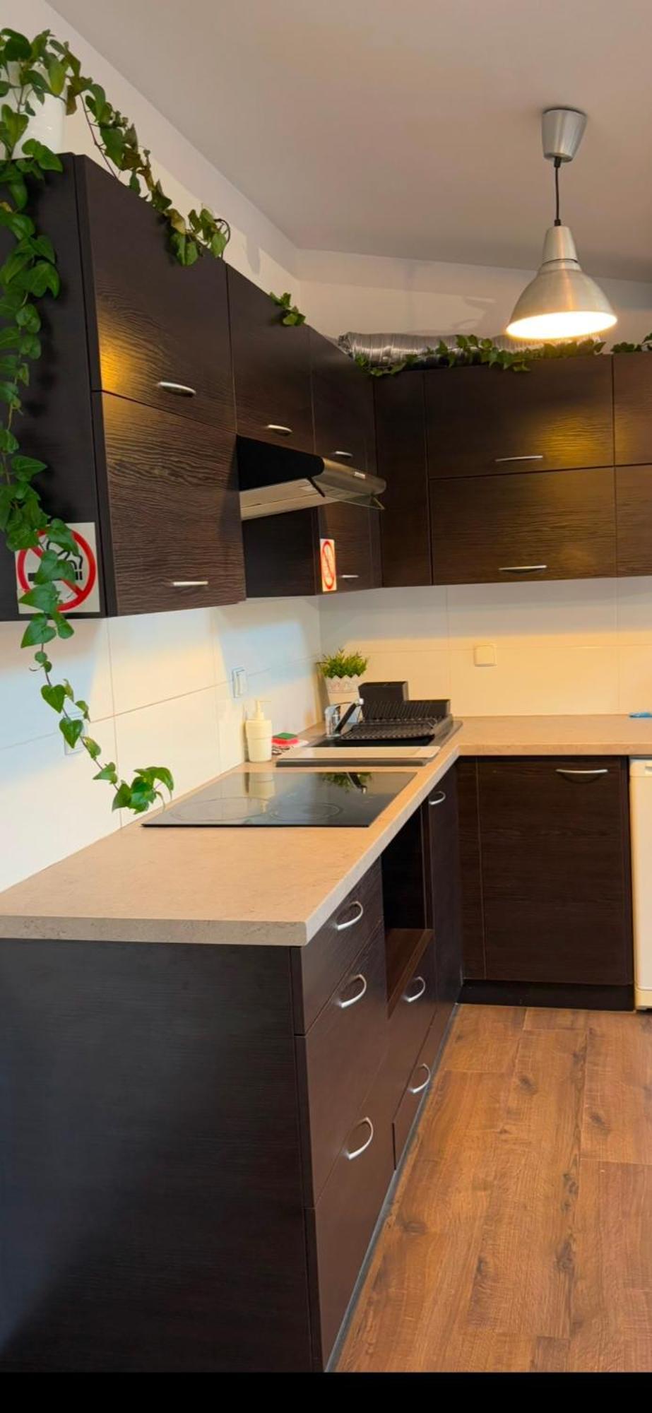 Apartament Szafir 4B 热舒夫 外观 照片